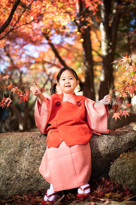 Cute Japanese girl in Kimono in Autumn nature 七五三